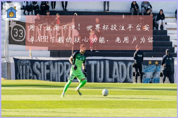 用了就离不开！世界杯投注平台安卓APP下载的核心功能，老用户为你一一介绍