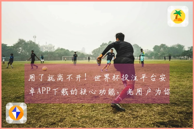 用了就离不开！世界杯投注平台安卓APP下载的核心功能，老用户为你一一介绍