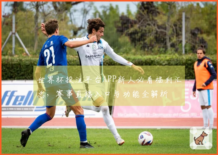 世界杯投注平台APP新人必看福利汇总，赛事直播入口与功能全解析