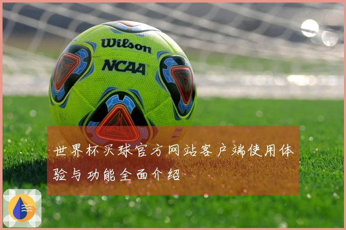 世界杯买球官方网站客户端使用体验与功能全面介绍