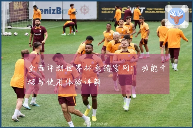 全面评测世界杯竞猜官网：功能介绍与使用体验详解