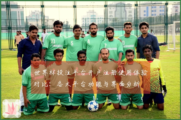 世界杯投注平台开户注册使用体验对比:各大平台功能与界面分析