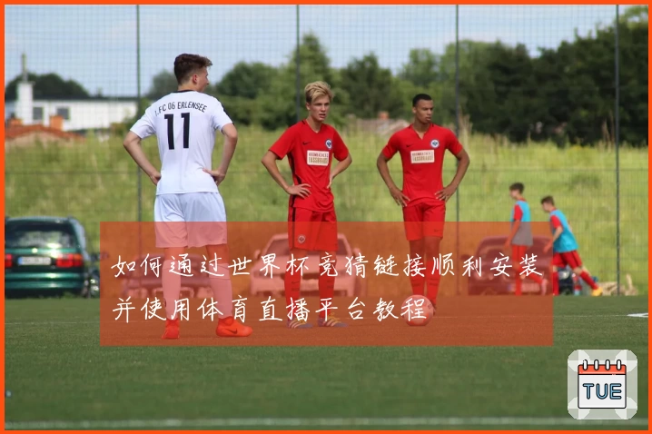 如何通过世界杯竞猜链接顺利安装并使用体育直播平台教程
