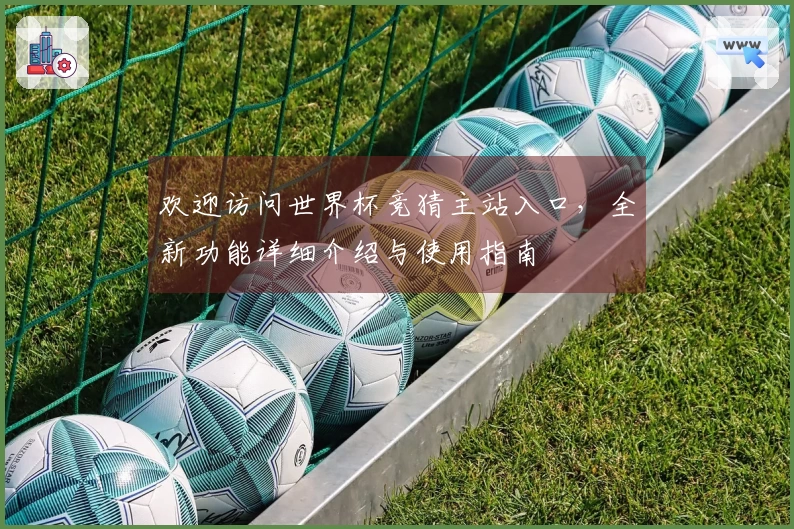 欢迎访问世界杯竞猜主站入口，全新功能详细介绍与使用指南